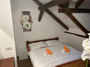 Apartmánový dům 13 Podkroví 2